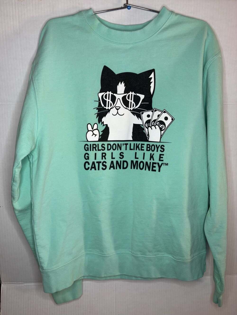Girls Don't Like Boys Girls Like Cats And Money Mint Green Crewneck Sweatshirt